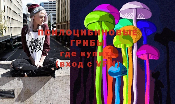 бошки Алзамай