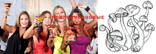 бошки Алзамай