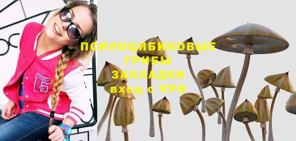 молекула духа Алексеевка