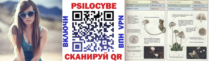где продают   Льгов  Галлюциногенные грибы Cubensis 